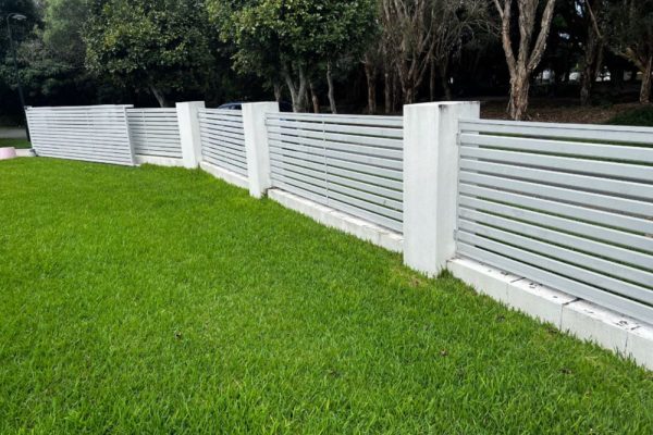 Fence cleaning and washing